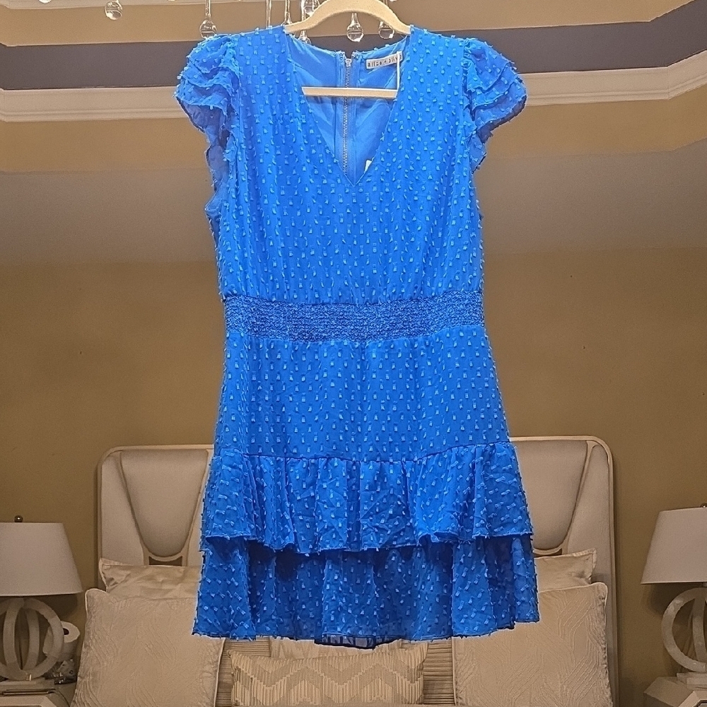 Alice + Olivia Blue Ruffle Sleeve Mini Dress No Tag See Mesurements - Picture 5 of 15